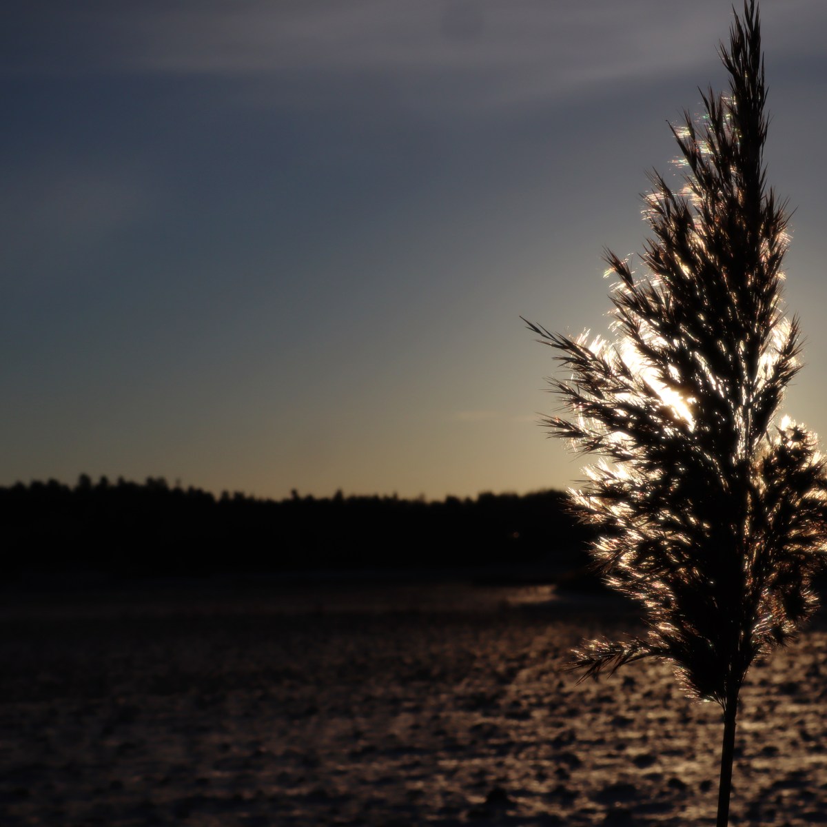 Learning new Photography&nbsp;skills